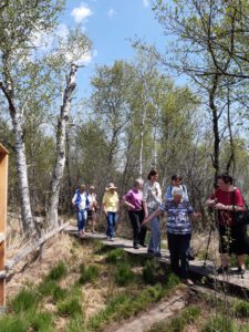 Bilder von verschiedenen Ausflügen mit dem Bus in den letzten Jahren (nur einige Beispiele: Von Zoos zu Spaziergängen - Wildparks, Cafétrinken, ...) Bilder von den Ausflügen selbst geschossen mit freundlicher Genehmigung aller Teilnehmenden